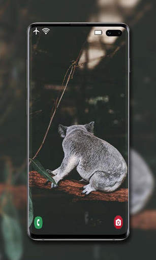 Grey Wallpaper screenshot 3