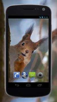 4K Slow-mo Animals Video Live Wallpaper screenshot 1