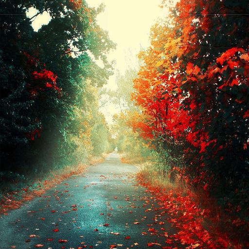 Autumn Live Wallpaper icon