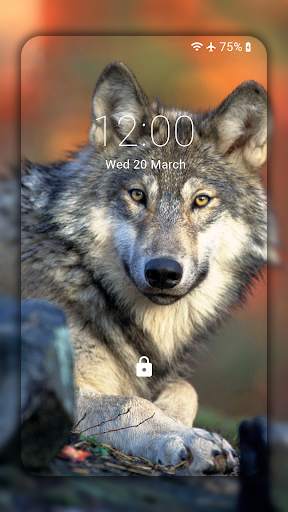 Wolf Wallpaper HD: Backgrounds screenshot 4