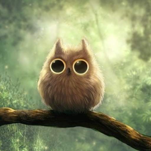 Pretty owls Wallpaper 3.0