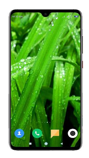 Green Wallpaper HD screenshot 1