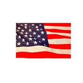USA Browser icon