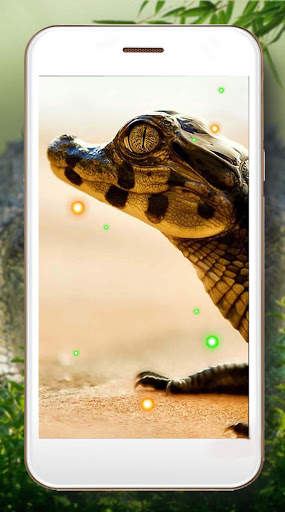 Crocodiles Tropical screenshot 6