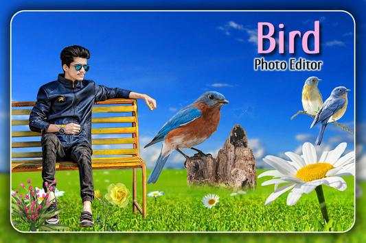 Bird Photo Editor screenshot 2