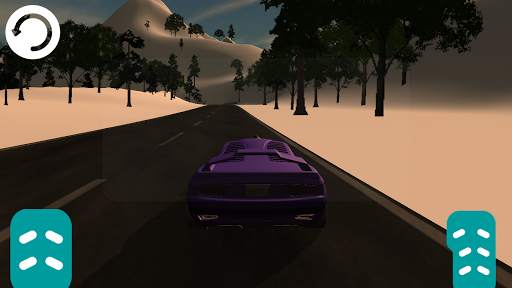 Car Race (Drive Fast) screenshot 3