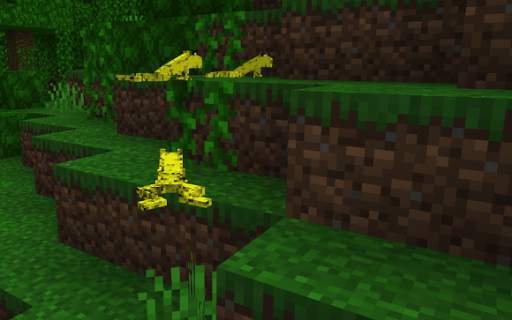 Frog Mod for MCPE screenshot 2