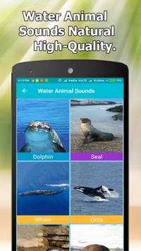 Animal and Bird Sounds Offline screenshot 5