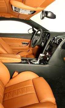New Themes Bentley Cars screenshot 3