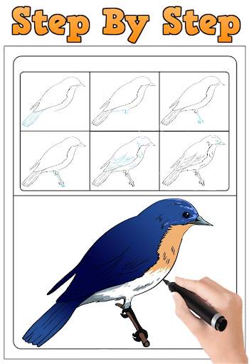 How To Draw Birds New screenshot 3