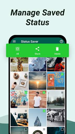 Status Saver for WhatsApp - Save & Download Status screenshot 5