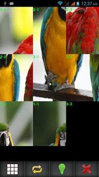 Birds Puzzle screenshot 2