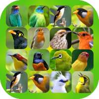 Bird Sound Plus