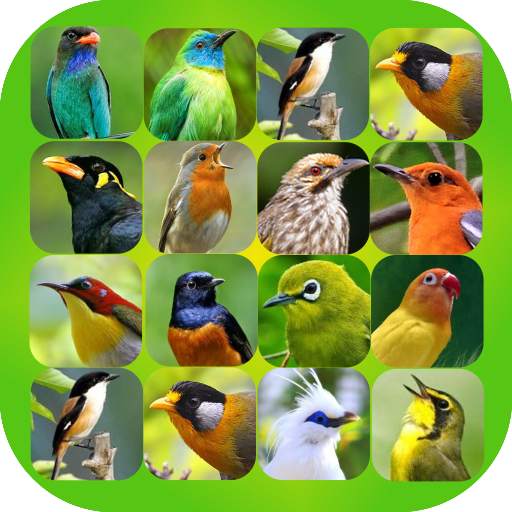 Bird Sound Plus 2.0.2