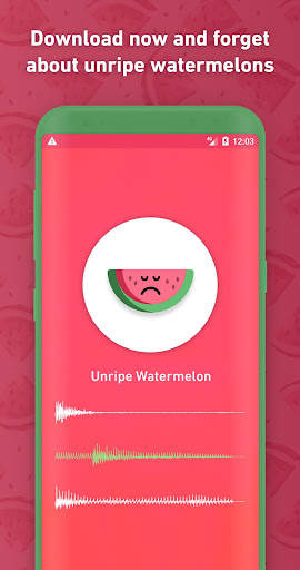 Melony: World First Watermelon Ripeness Detector screenshot 3