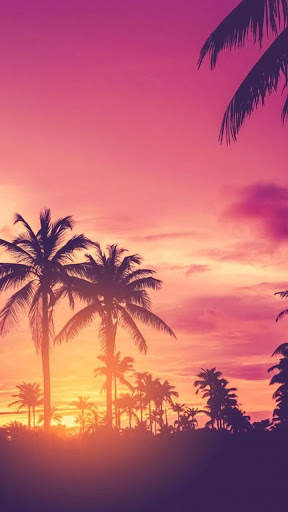 Sunset HD Wallpapers screenshot 2