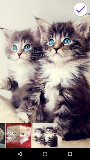 Cute Kitten Lock Screen 5 تصوير الشاشة