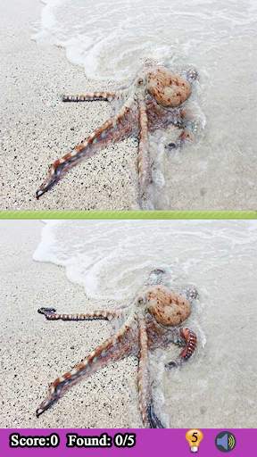 Photo Hunt Spot The Difference Free screenshot 6