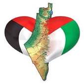 دردشة فلسطين أيقونة