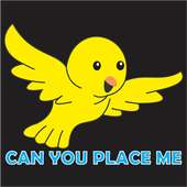 Can You Place Me