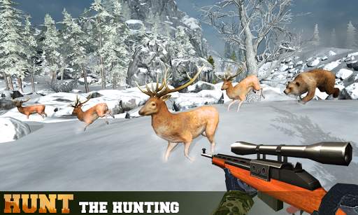 Deer Hunting Extreme Hunter 3D screenshot 4