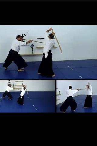 Aikido Weapons Free screenshot 2