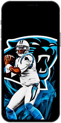 Carolina Panthers Wallpaper 4K screenshot 4