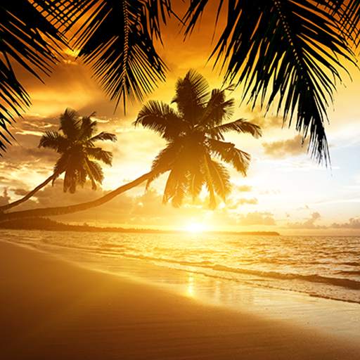 Beach Sunset Live Wallpaper 6.0
