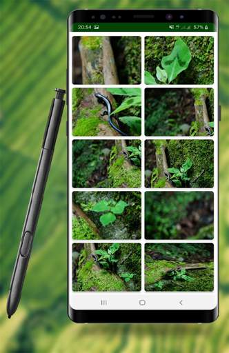 photo compressor 2 تصوير الشاشة