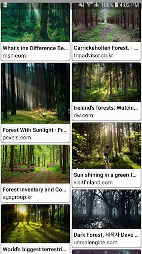 Image Search screenshot 3