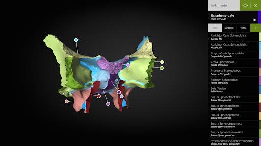 Anatomyka - Anatomia 3D screenshot 13