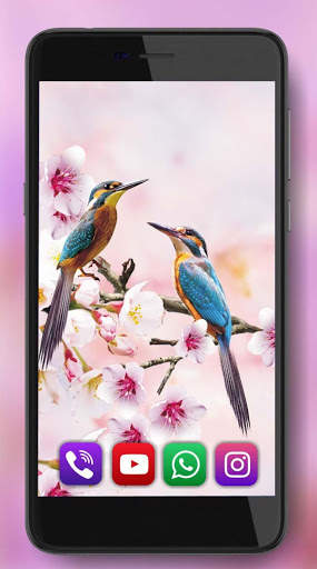 Birds Sounds Live Wallpaper screenshot 4