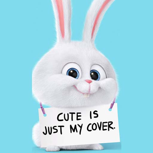 Cute Wallpaper icon