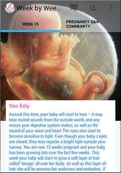 Pregnancy Stages screenshot 4