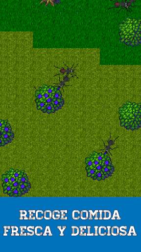 Ant Evolution - juego de simulador de hormigas screenshot 2