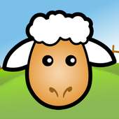 Sheep ZzZz