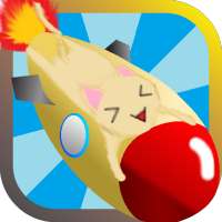 Cat Rocket