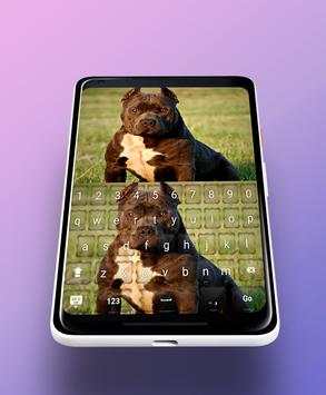 pitbull dog Keyboard Theme screenshot 2