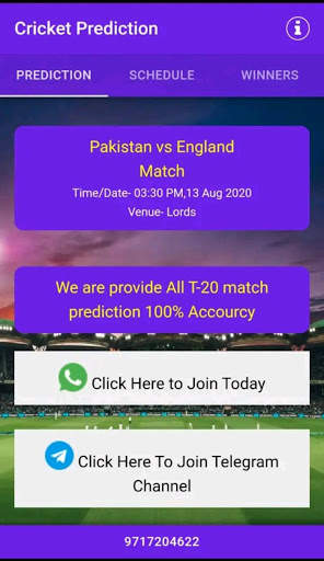 Cricket Prediction screenshot 1
