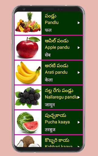 Learn Telugu From Hindi screenshot 7