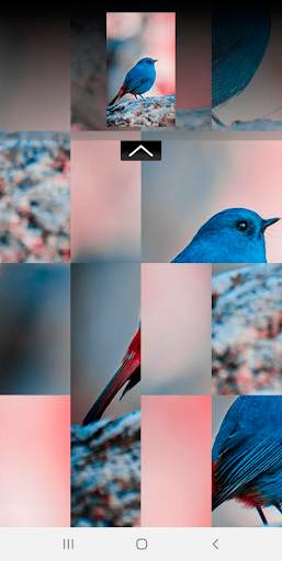 Puzzle Pic - Animal Edition screenshot 4