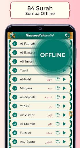 Muzammil Hasballah Quran MP3 Offline Stereo screenshot 3
