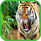 Animal sounds icon