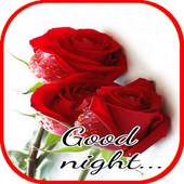 Good Night Flowers Images Gif 3.8