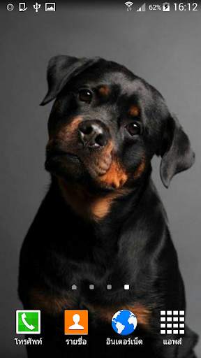 Rottweiler Wallpaper screenshot 1