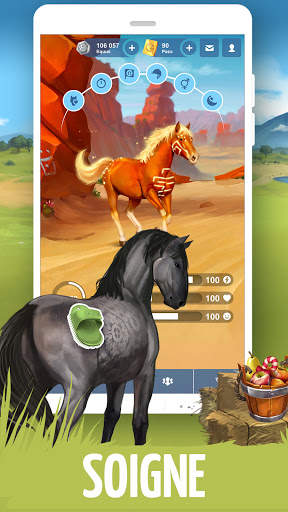 Equideow - jeu gratuit d'élevage de chevaux screenshot 2