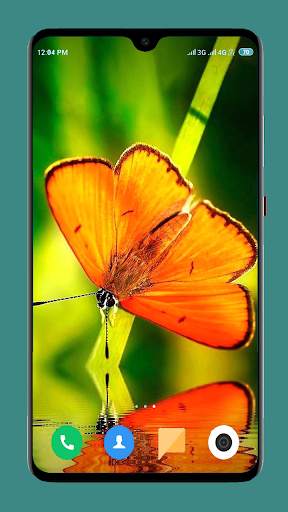 Butterfly Wallpaper 4K screenshot 10
