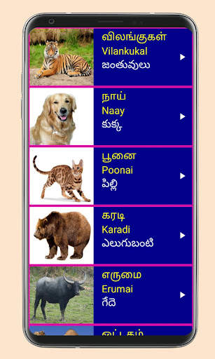 Learn Tamil From Telugu screenshot 5