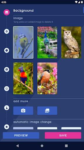 Bird Parrots HD Live Wallpaper screenshot 1