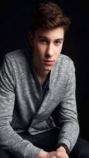 Shawan Mendes Hoyi Wallpapers screenshot 8